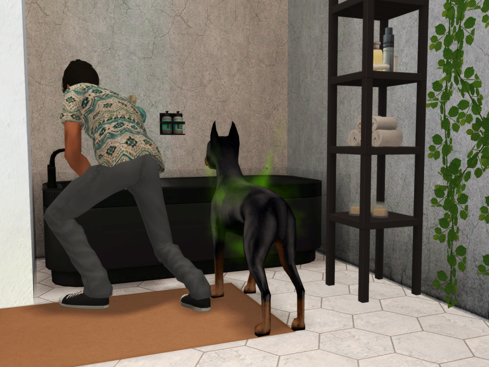 Sims2-EP9-RPC-2022-06-25-22-07-45-22