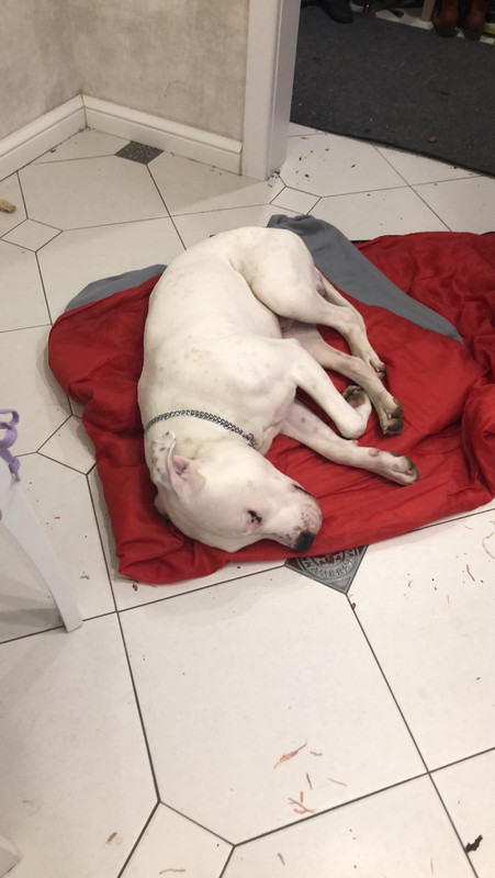 2C32294A-2FE1-4ABE-A7B5-BFBBD7C72789