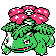 venusaur.png