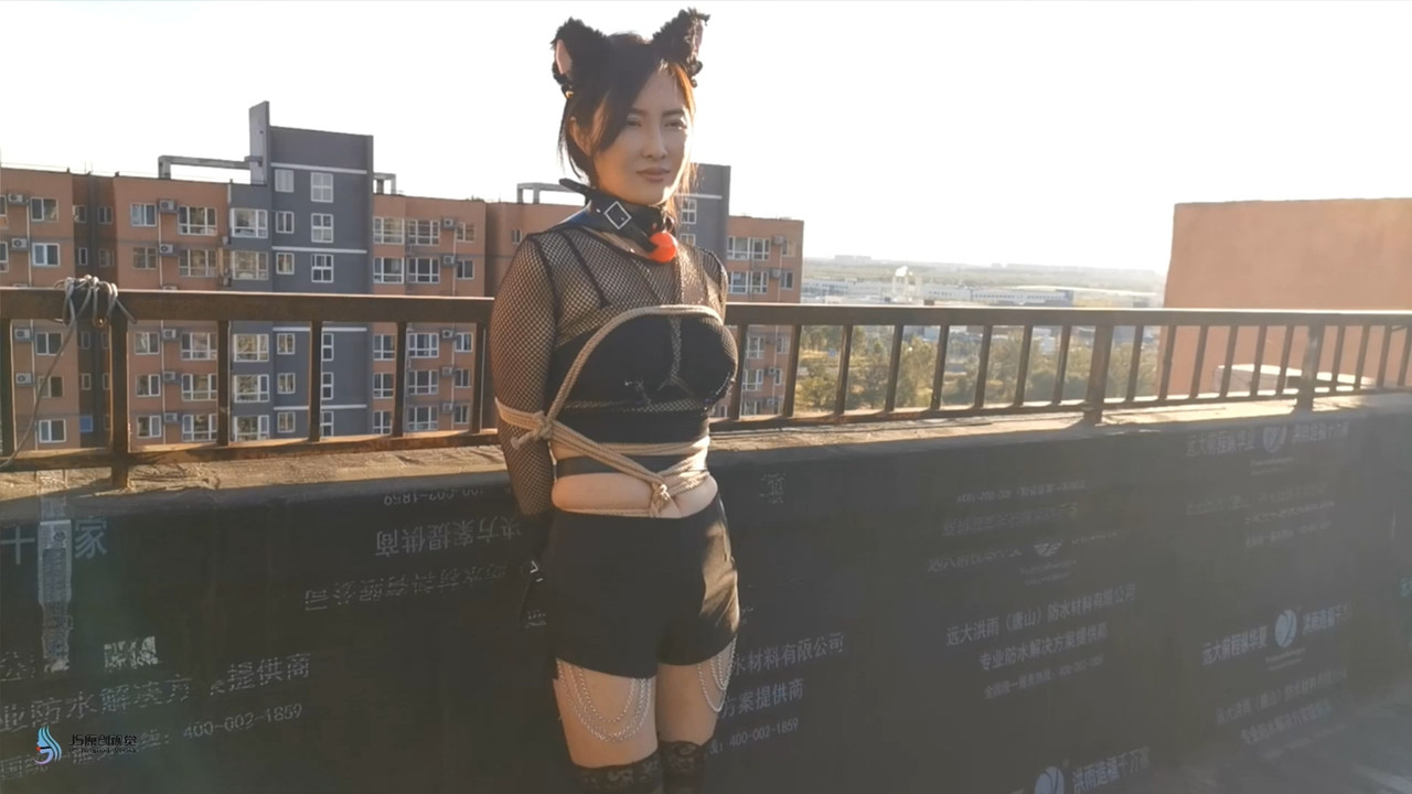 JS原创 露台上的猫女郎.mp4_20220102_131117.818