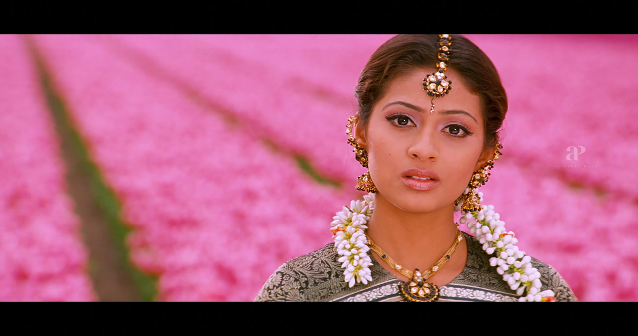 VideoCapture_20241122-200732