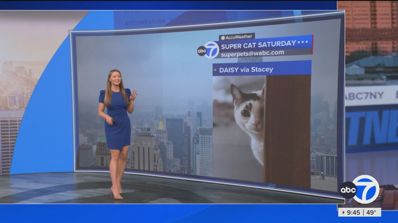 Eyewitness News This Morning_20250322_13001400.ts_snapshot_00.46.10.352