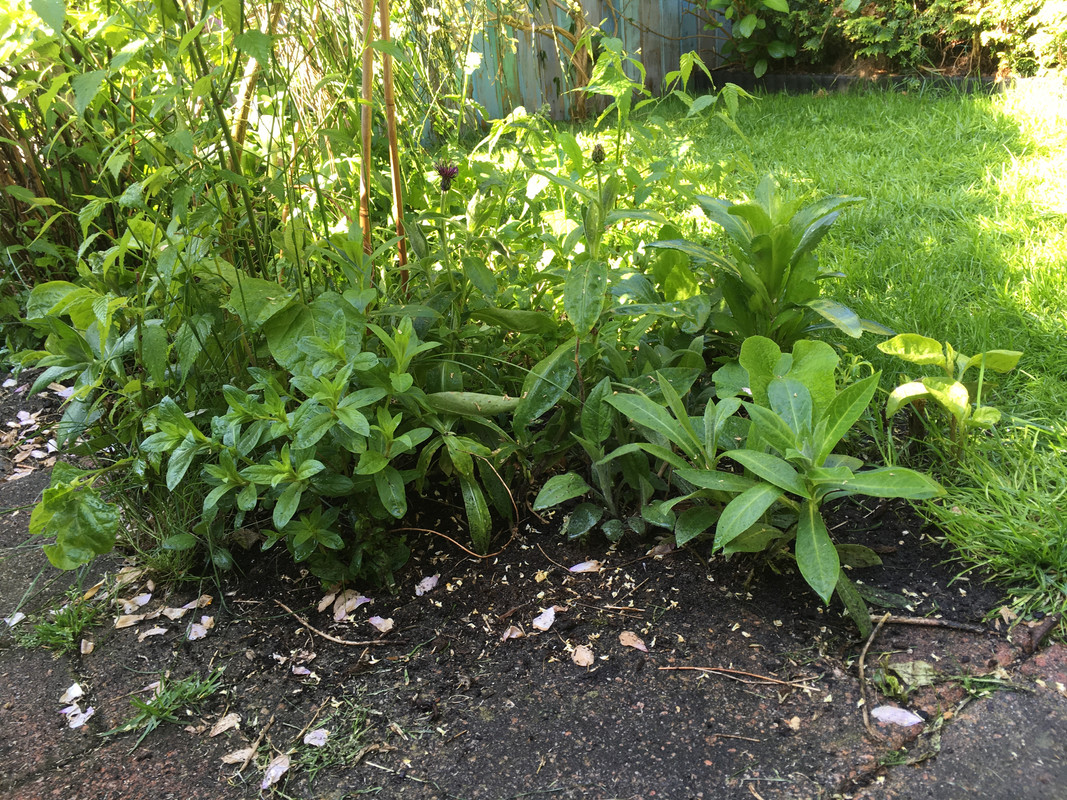 1323BBFB-C72F-427B-BFD5-53E53F077C3B