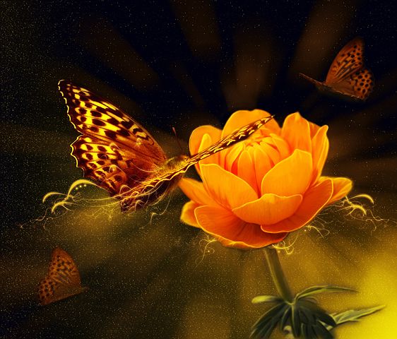 An den Beitrag angehängtes Bild: https://i.postimg.cc/d0j8jKr3/flower-805097-480.jpg