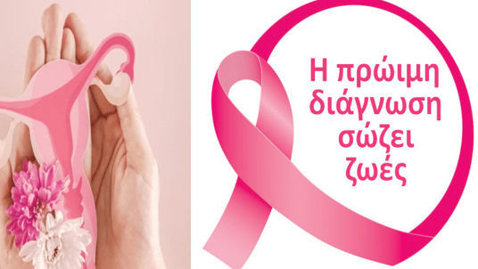 κοζάνη, ειδήσεις, νέα, Πτολεμαΐδα