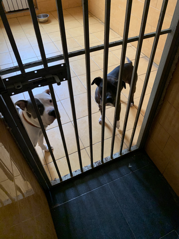 F6996E35-9E4C-4C67-A80E-311E2497CE4F