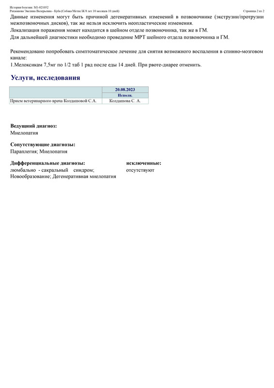 Отчет о посещении (M1-00007496)_page-0002