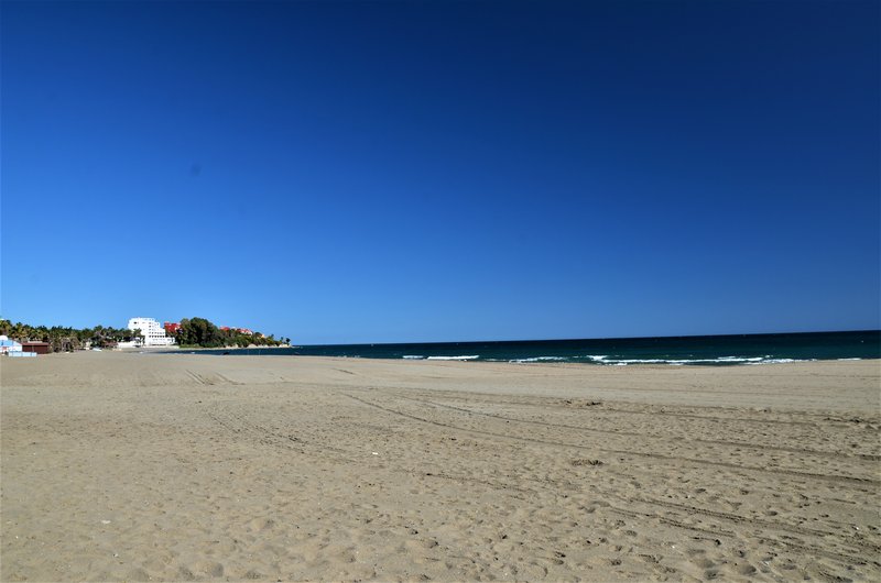 ESTEPONA-9-3-2017 - Málaga y sus pueblos-2009/2017 (186)