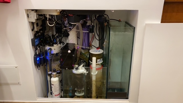 22DC904C-0527-4961-939F-EC8E26B3D39F