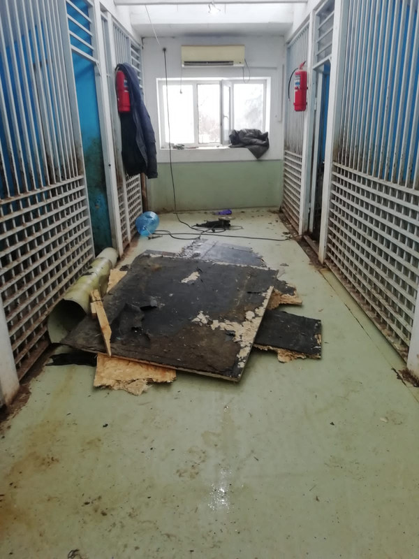 DFC26374-EFB5-49FF-BE24-D9200134F7FE