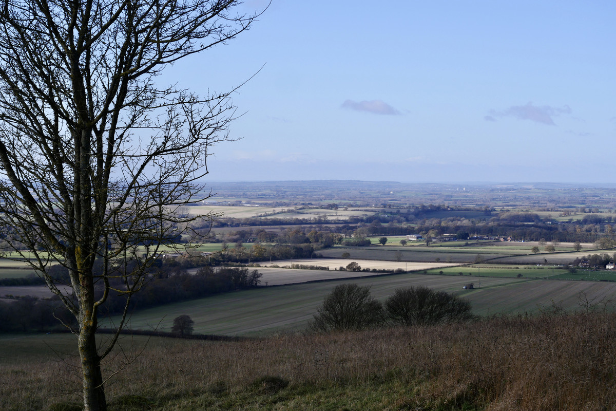 3DE5B31E-47F6-4749-9EA1-1C37AFEFEA94