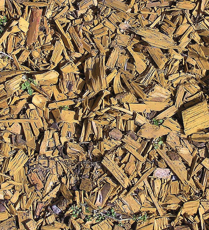 wood-texture-3dsmax (103)