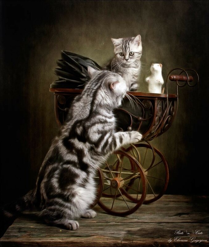 10592718-588292554607545-7964531474186294909-n