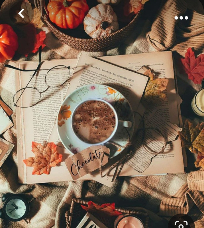 Screenshot_20230930_152550_Pinterest