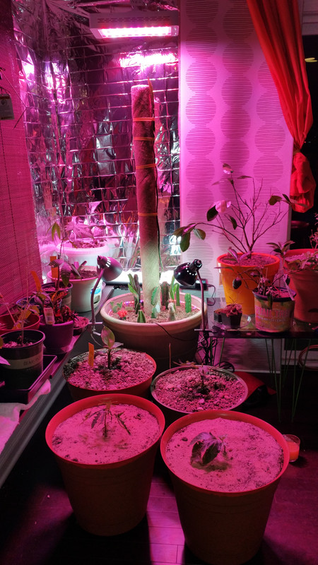20150512_024054 (1)