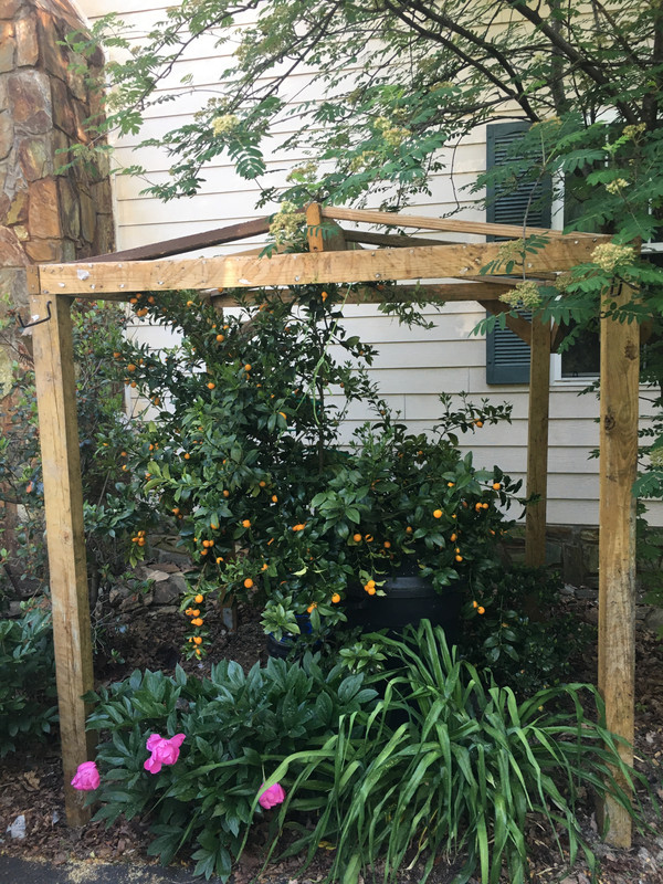 D3B285E4-4402-4BA8-A8F6-A400450065E1