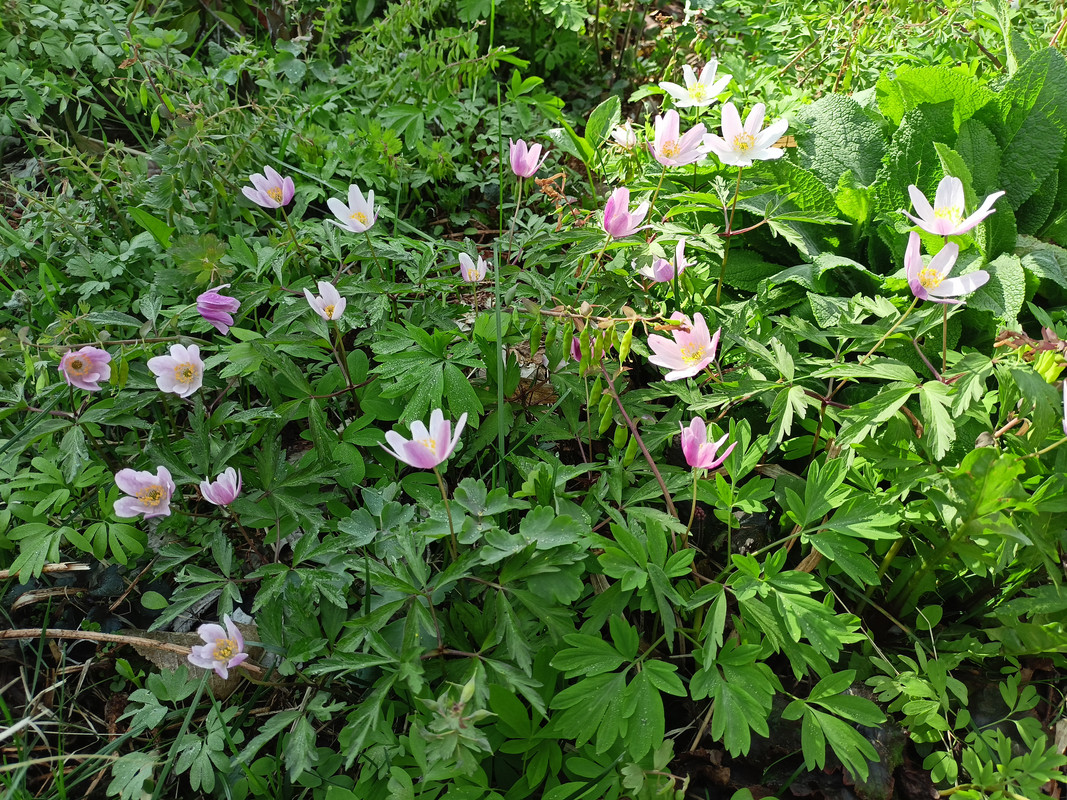 IMG-0238edbe9a754d4a981d68ecfae11ed3-V