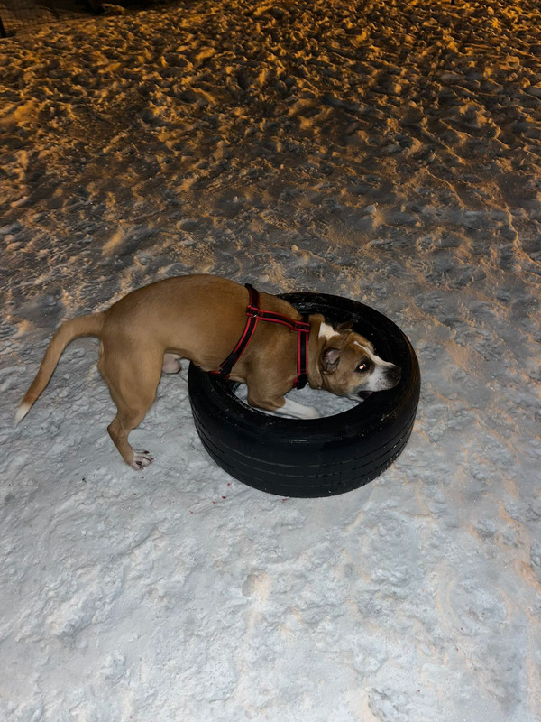 ED66368C-83EC-4111-B97B-A042FF88A1B8