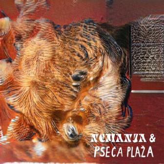 [Slika: Nemanja-Pseca-Plaza-Cudne-Stvari-folder.jpg]