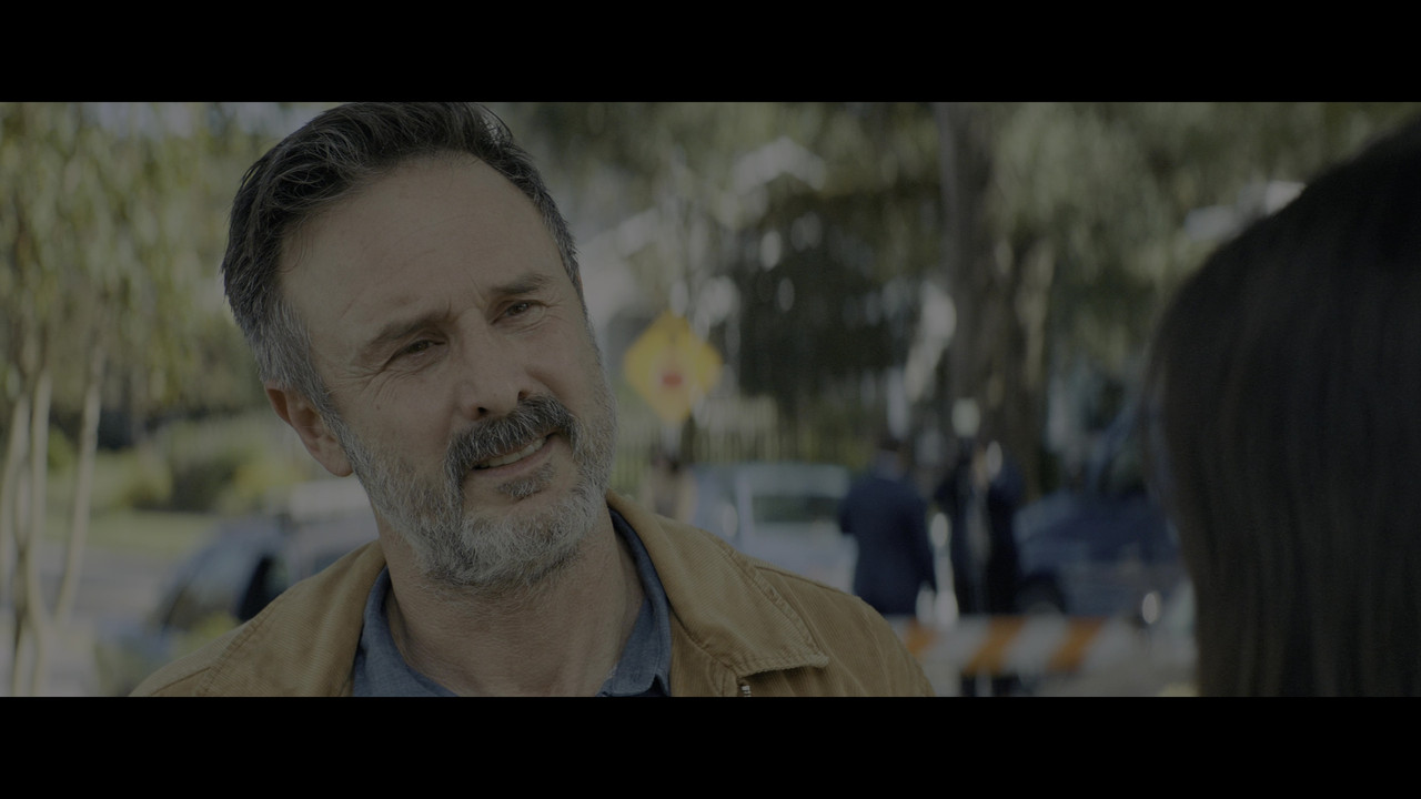 vlcsnap 2026 02 22 16h52m52s504