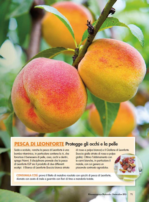 Alim Nat Set 2021 (10)