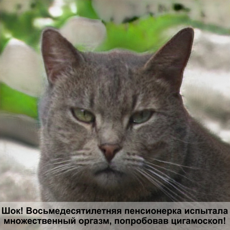 хвост кошки без шерсти