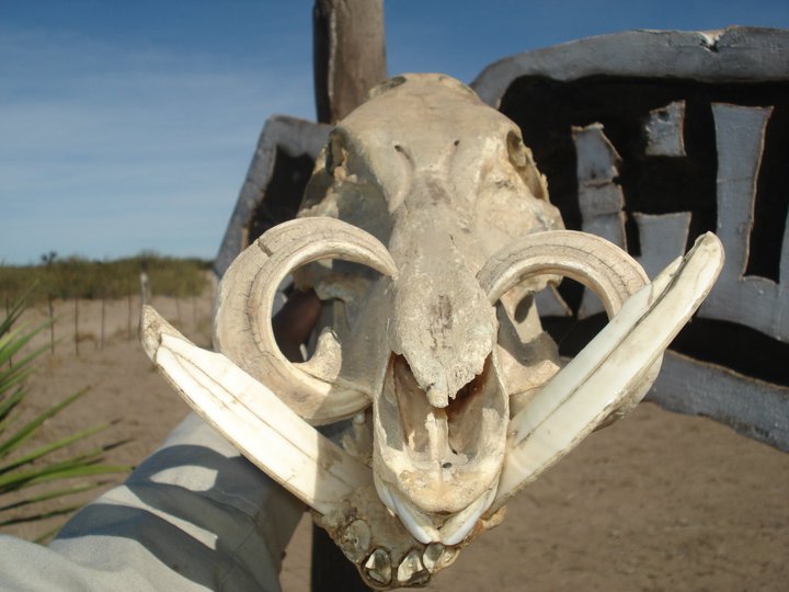 154123_107125196026947_147671_n