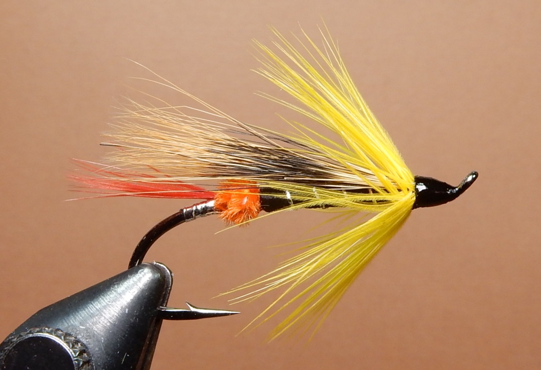 Orange-Fox-1080.jpg