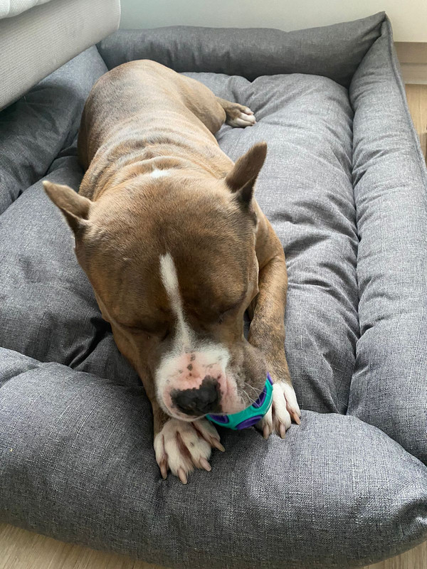 8D86EA7A-7488-4C5D-AD6E-44ABBC3CBDD5