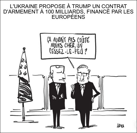 text alternatif