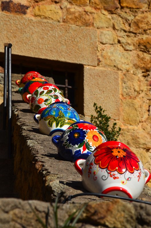 PALS-21-11-2017 - Gerona y sus pueblos-2016/2017 (49)