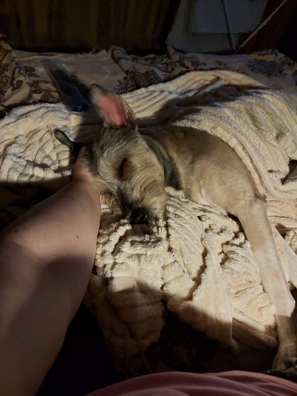 0178F620-8F7F-4BB3-BAF4-5730A02A37FB