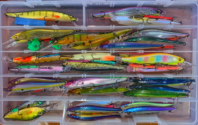 Jerkbait storage Clearance