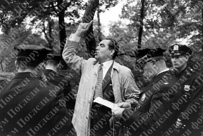 [Слика: image.jpg]