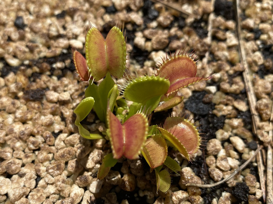 8FF09B2D-5129-446C-BB94-C0B32F098433