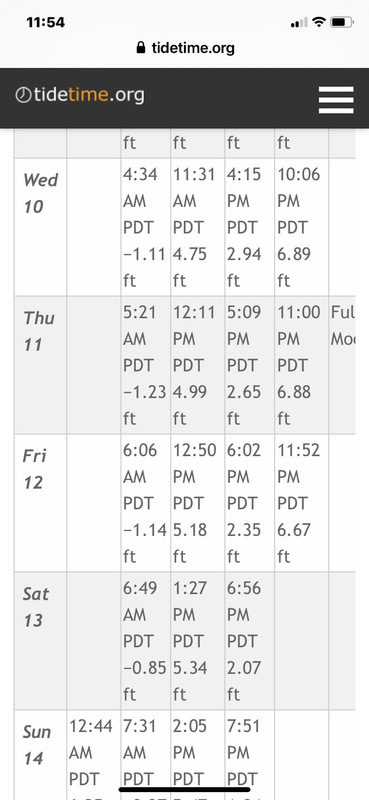 2668A5F8-B806-435B-B149-4AD6C81C31CF