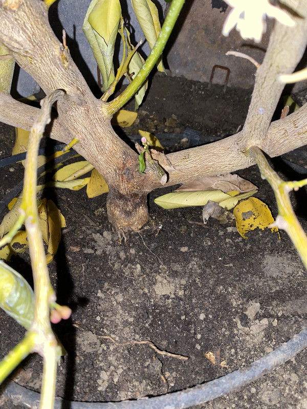 F010BDEB-B630-4325-8660-280DCA48D559