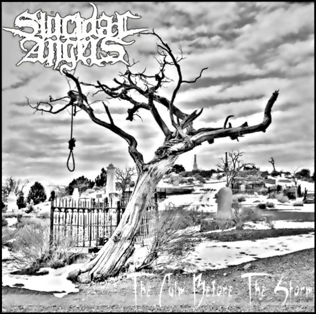 Suicidal Angels - The Calm Before The Storm
