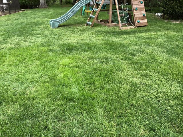 B0A58926-93ED-4B22-AE98-62E4B29F80E7