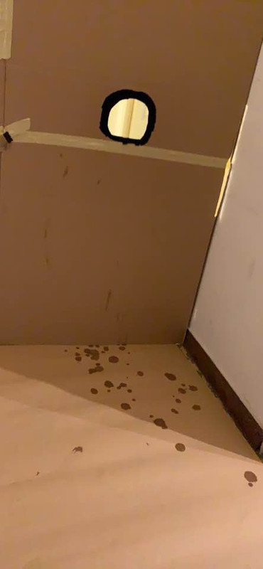 6BB5899A-433E-4C63-99D6-4D34FCE2F58A