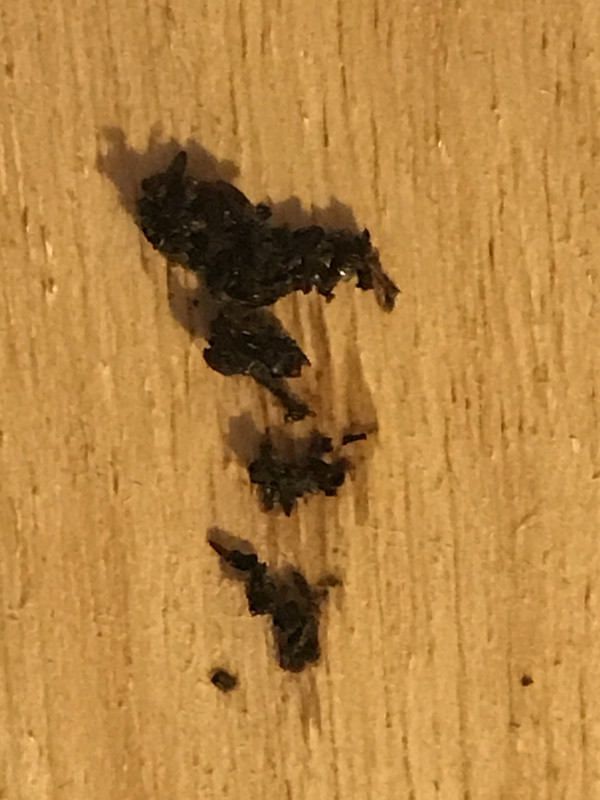 64BCF7E4-75C0-47BE-9503-FE352F231928