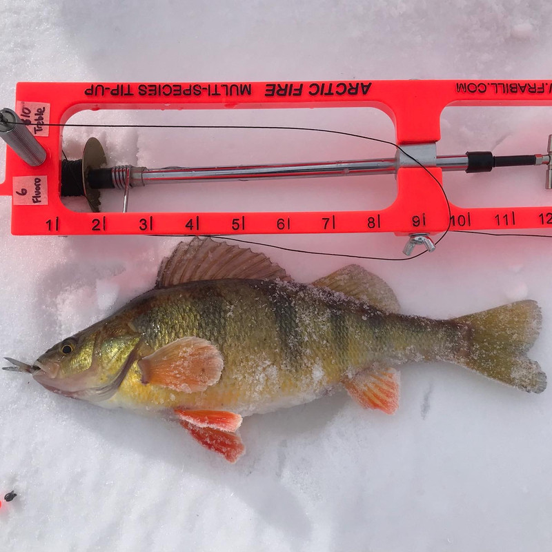 0DBA576B-6938-491E-B09D-F06079073E7D