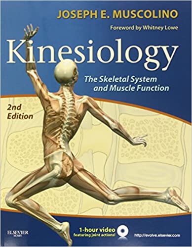 Kinesiology: The Skeletal System and Muscle Function, 2nd Edition