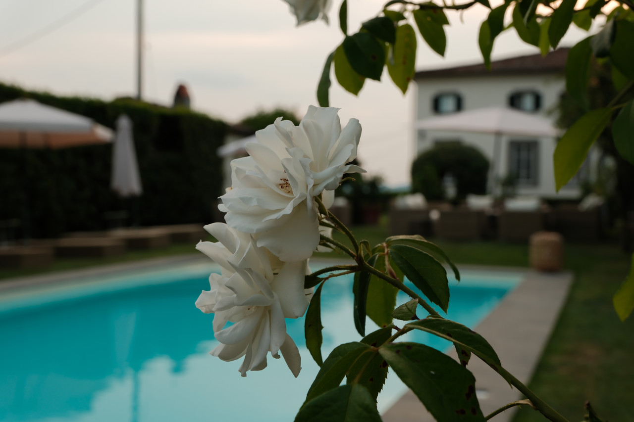 A private villa at dusk