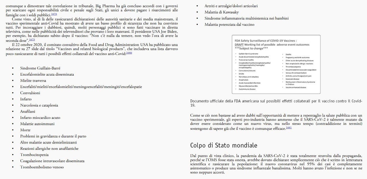 Pan Non Autorizzate (2021) 12