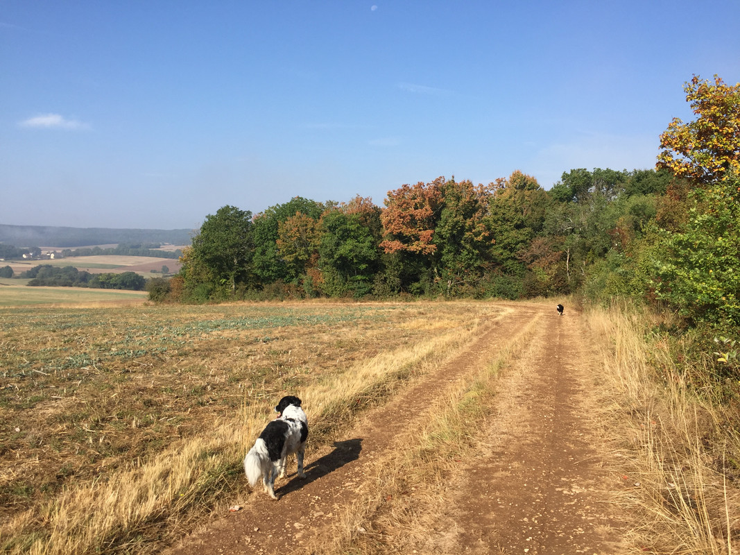 3B2DBEE1-B2CB-4730-86EB-2248D63C317A