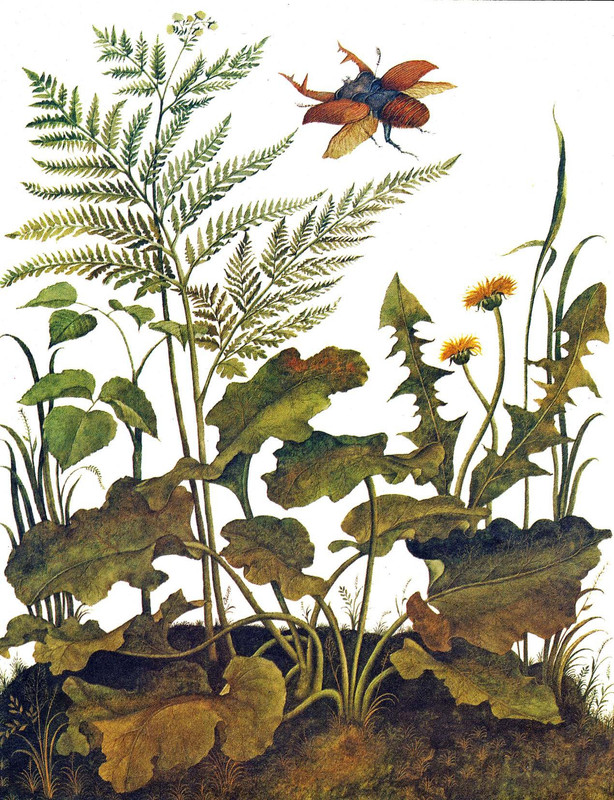 Romanova-Natala-Vstretilis-dva-olena-page-0017