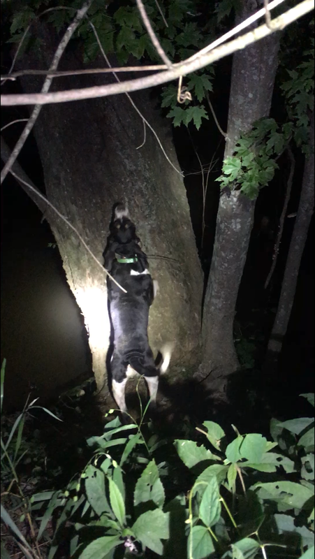 11D9C166-EB23-4252-A95A-46B4D1EEE5B4