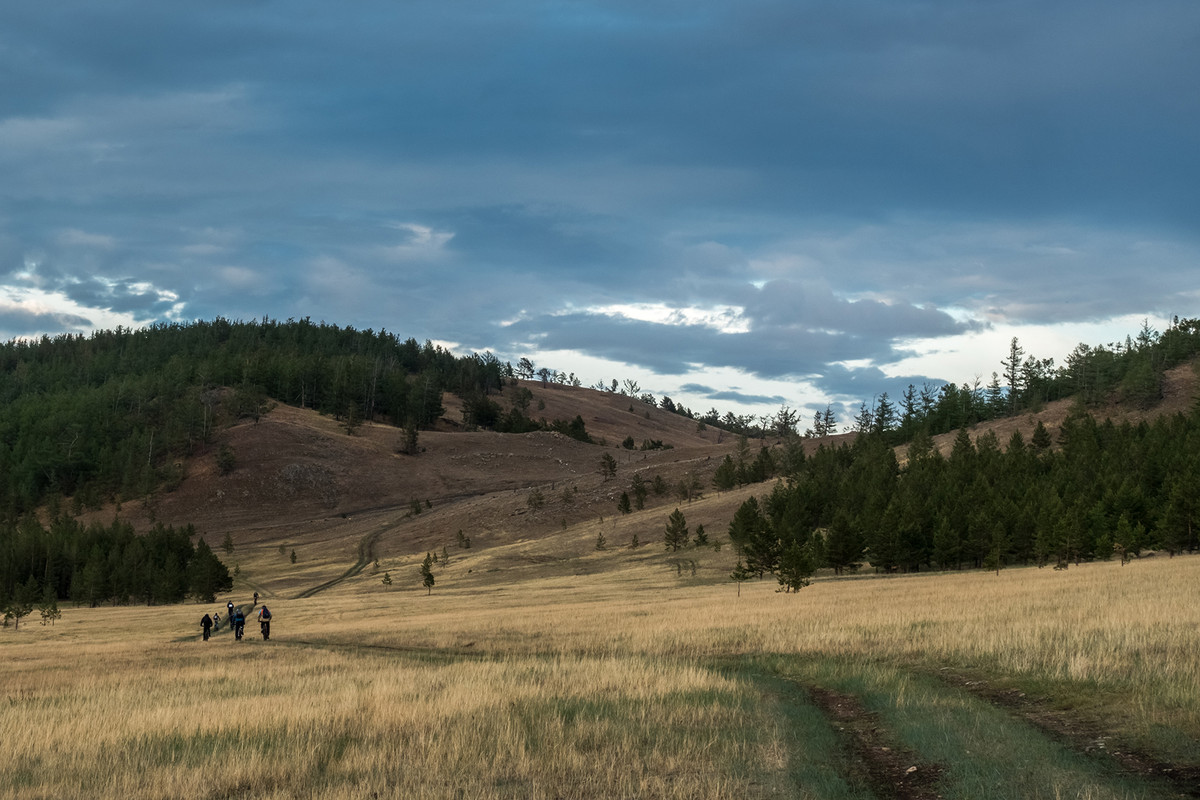 без имени-37