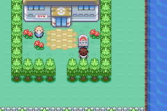 pokefirered 5